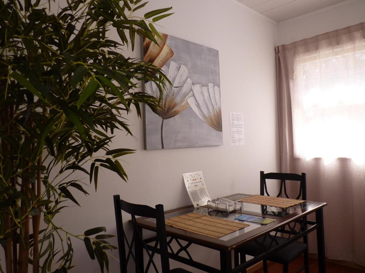 Azores Garden House - Private Suites & Apartments - Automatic Self Check-In Ponta Delgada Dış mekan fotoğraf
