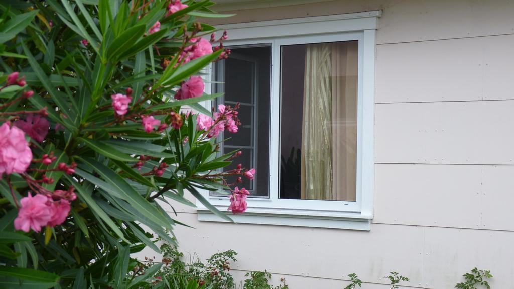 Azores Garden House - Private Suites & Apartments - Automatic Self Check-In Ponta Delgada Dış mekan fotoğraf