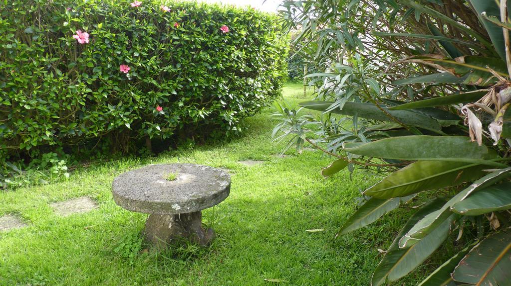 Azores Garden House - Private Suites & Apartments - Automatic Self Check-In Ponta Delgada Dış mekan fotoğraf