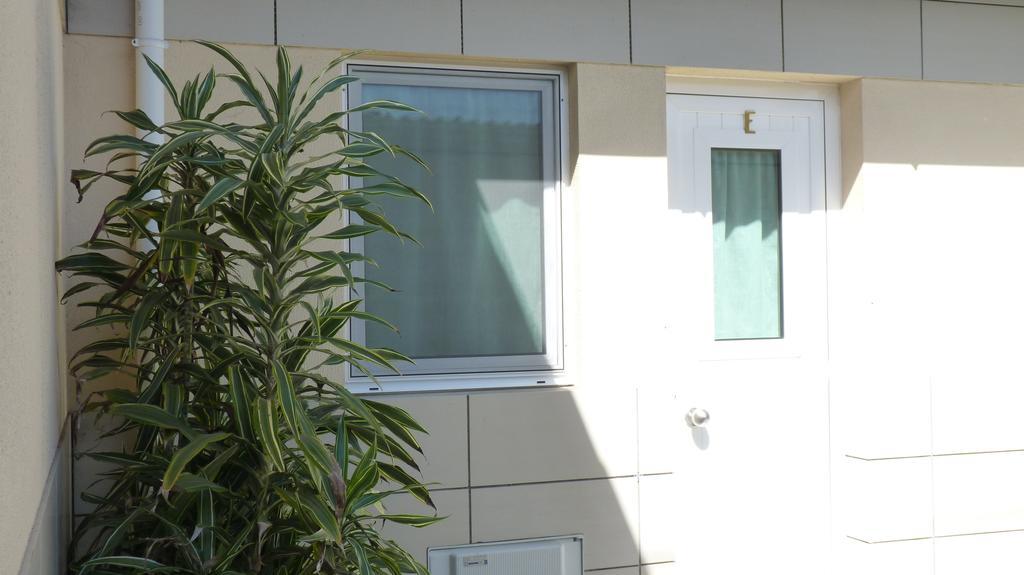 Azores Garden House - Private Suites & Apartments - Automatic Self Check-In Ponta Delgada Dış mekan fotoğraf