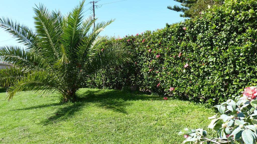 Azores Garden House - Private Suites & Apartments - Automatic Self Check-In Ponta Delgada Dış mekan fotoğraf
