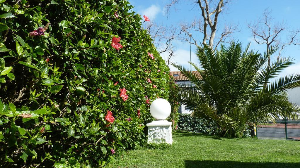 Azores Garden House - Private Suites & Apartments - Automatic Self Check-In Ponta Delgada Dış mekan fotoğraf